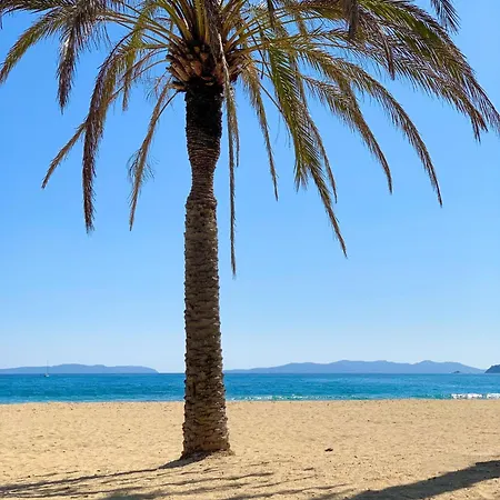 Select'sohome - Avec Terrasse Et Vue Au Coeur Du Lavandou - Parking Prive - Moun Pantai *